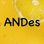 ANDes