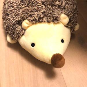 ささわさ