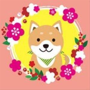 カラフルカラー