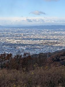さやか