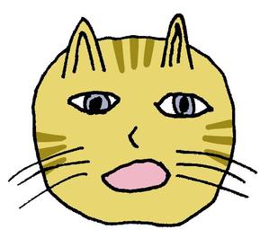 聰