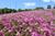 chapi0403