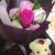 knoa_3480