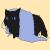 calamintha_ykm