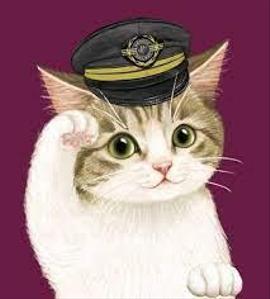 YukiCat