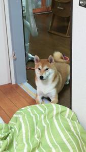 清水宏太