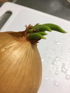 ななな