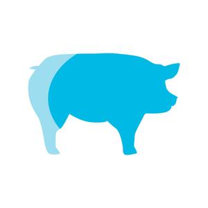 Blue Pig