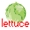 lettuce_design