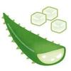 aroe_yogurt