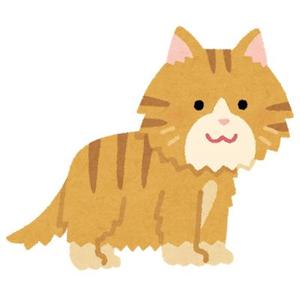 準備中です