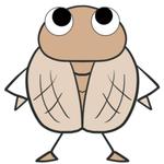 瀬見マサキ