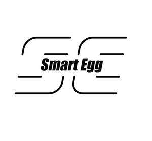 Smart-Egg