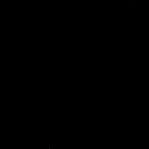 yasu
