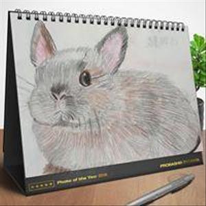 フジモト ナオ