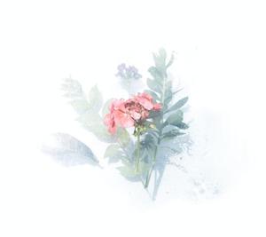 岩﨑