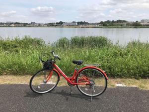 suzu173430