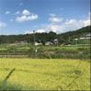 N,takayama