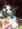 shigepi-