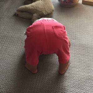 たけのこ派