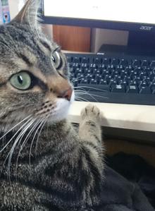 りり