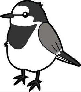 Web Studio Wagtail