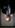 take-2038