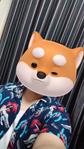 長島大介