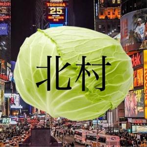 キャベツの北村