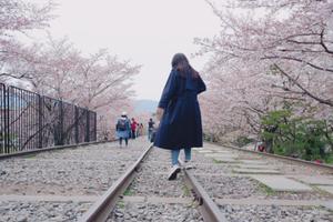 shiori