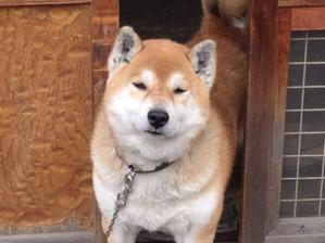 たけもと