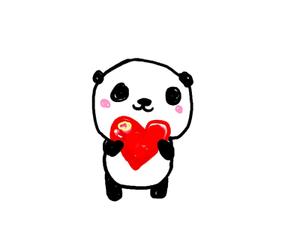 panda28