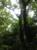 tabio