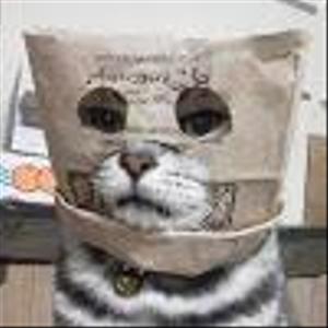 はやくん