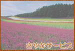 さやかサービス
