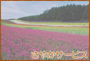 さやかサービス