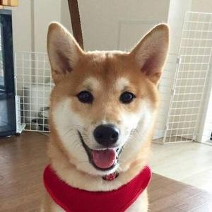 シュウヘイ