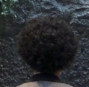 Webコンサルタント/実績500件以上