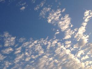 Lushlife0623