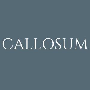 株式会社CALLOSUM