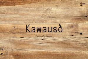 kawauso_video