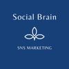 Social Brain