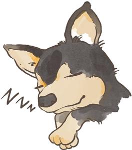 ばんり