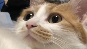 ヒグチ