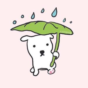 盧恩迎