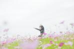 ayaminphoto