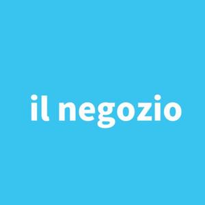 il negozio