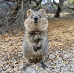浮ヶ谷和也