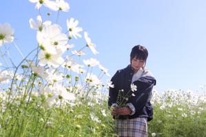 mayu