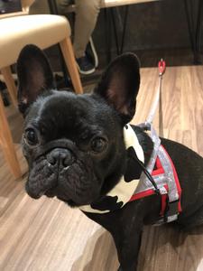 RIKU